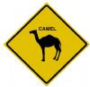 CamelCollectors avatar Hector Carreño sanchez